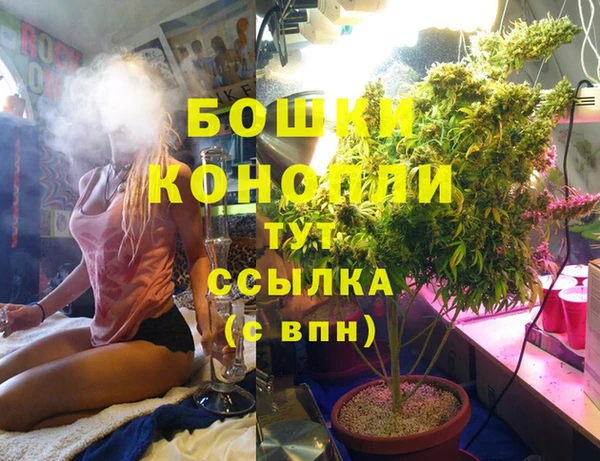 spice Надым