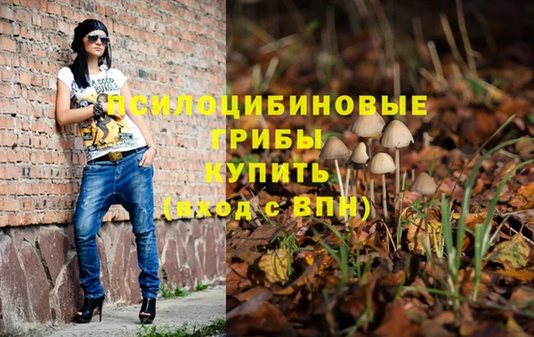 ешки Михайловка