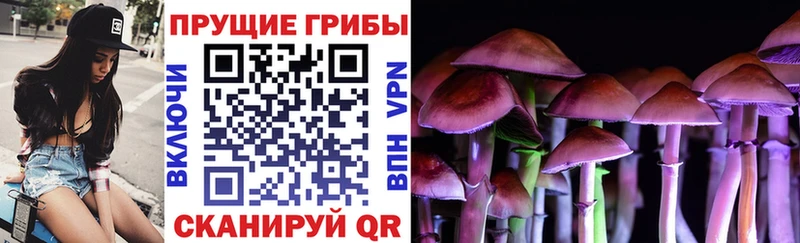 Псилоцибиновые грибы мухоморы Иваново