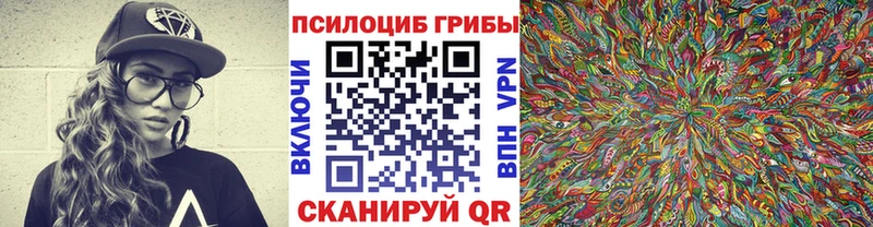 наркота  Иваново  Галлюциногенные грибы мицелий 