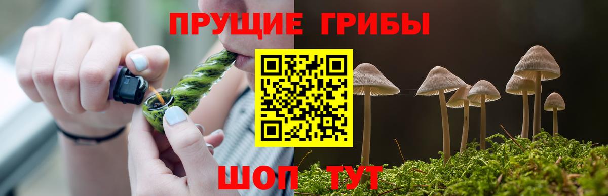 Галлюциногенные грибы GOLDEN TEACHER  Иваново  Псилоцибиновые грибы ЛСД 